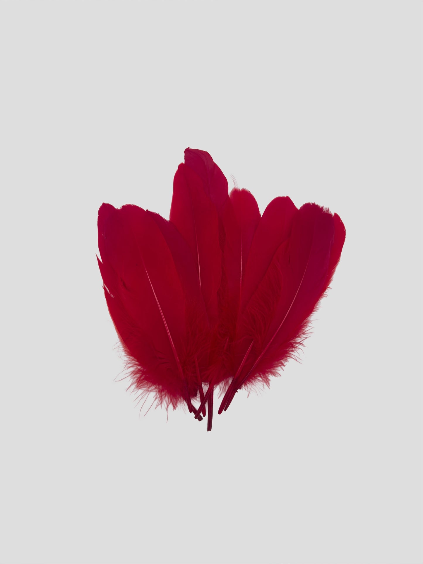 Oca nagoire 16-20cm rosso pomodoro