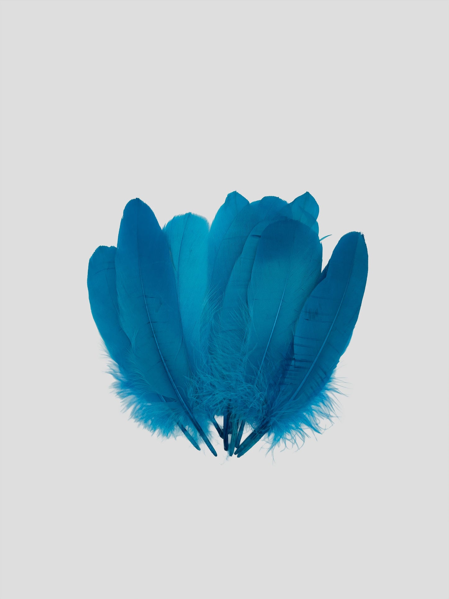 Nageoires 16-20cm turkoois