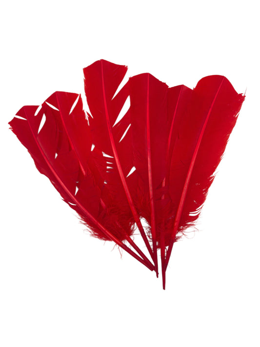 Plumas de ganso 25-30cm rojo tomate