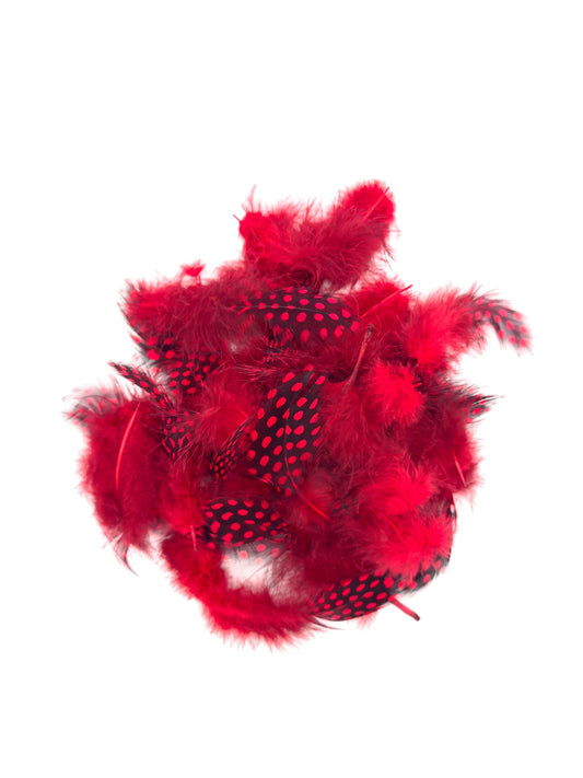 Gallina de guinea rojo tomate