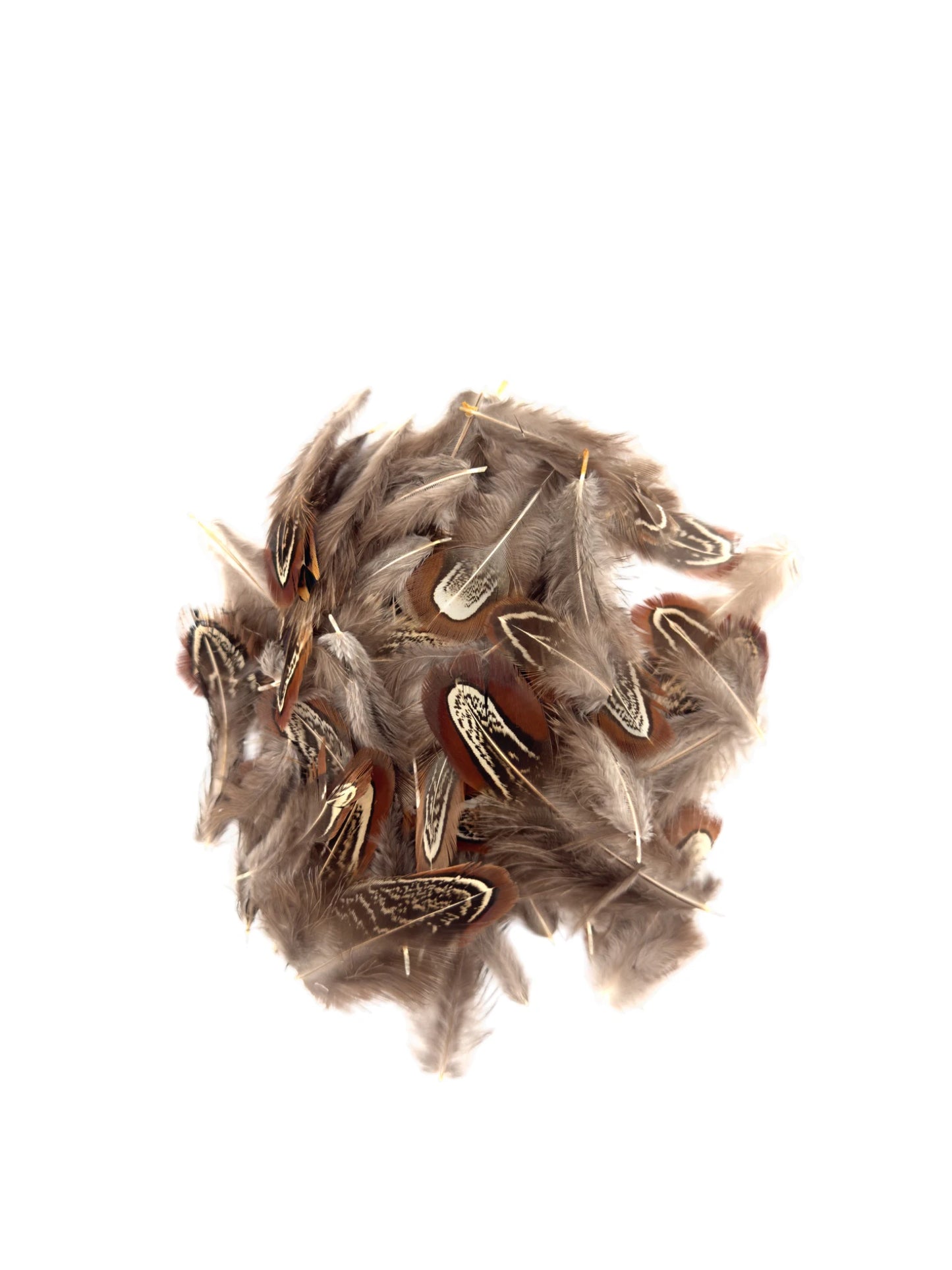 Plumas de faisán naturales (1,5g)