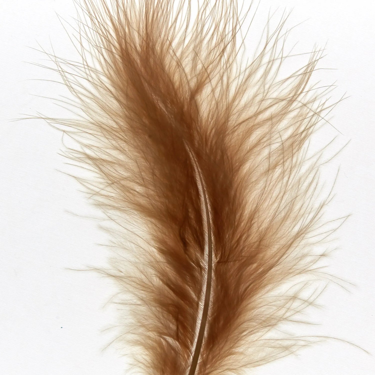 Bruine veren