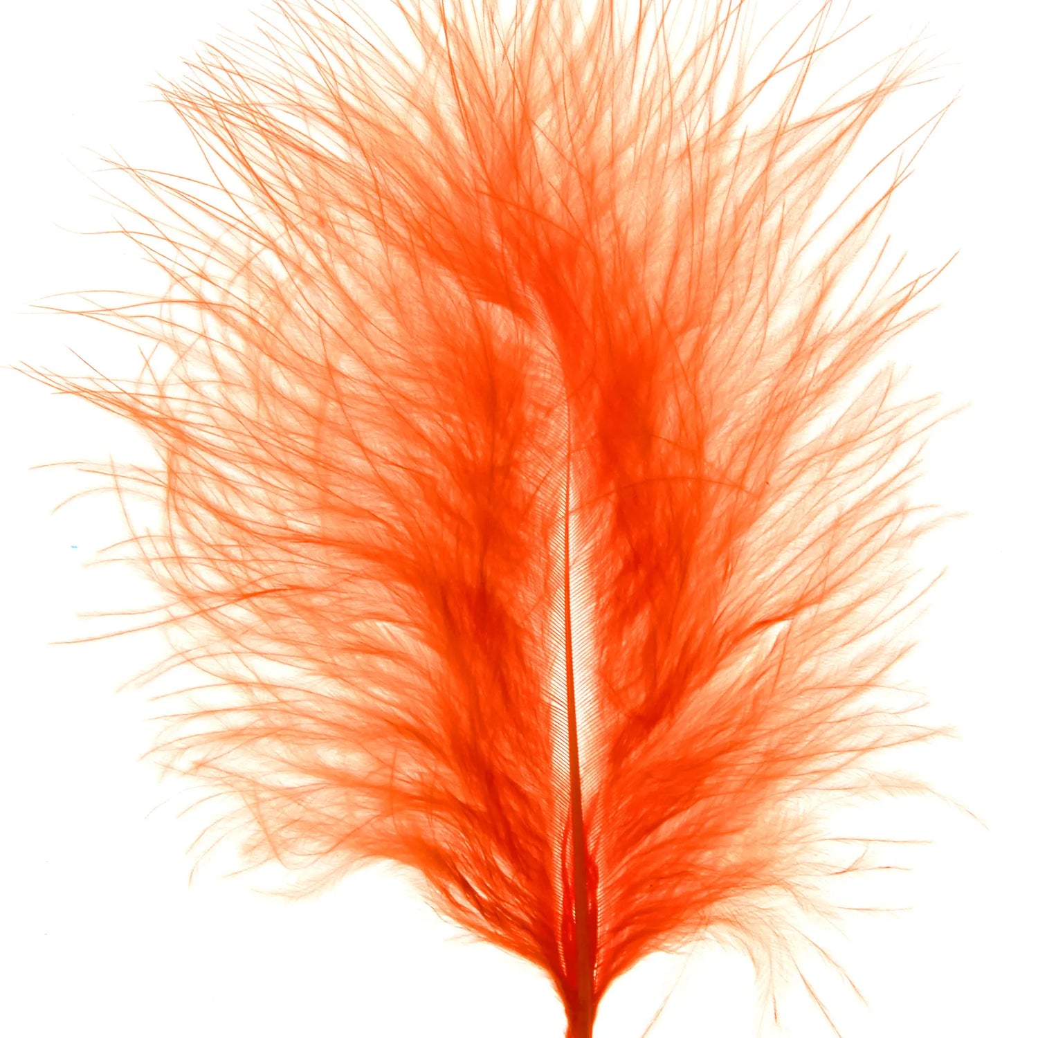 Oranje veren