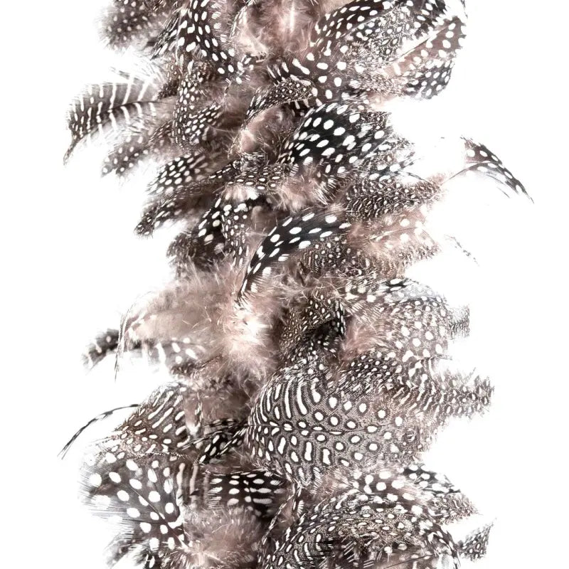 Natuurveren – Enkels Feathers