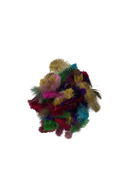 Mezcla de gallina de guinea bolsa 2gr