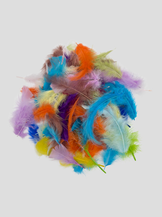 Mix pluimen zakje 10g