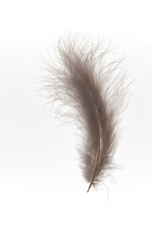 Marabú 12-15cm topo