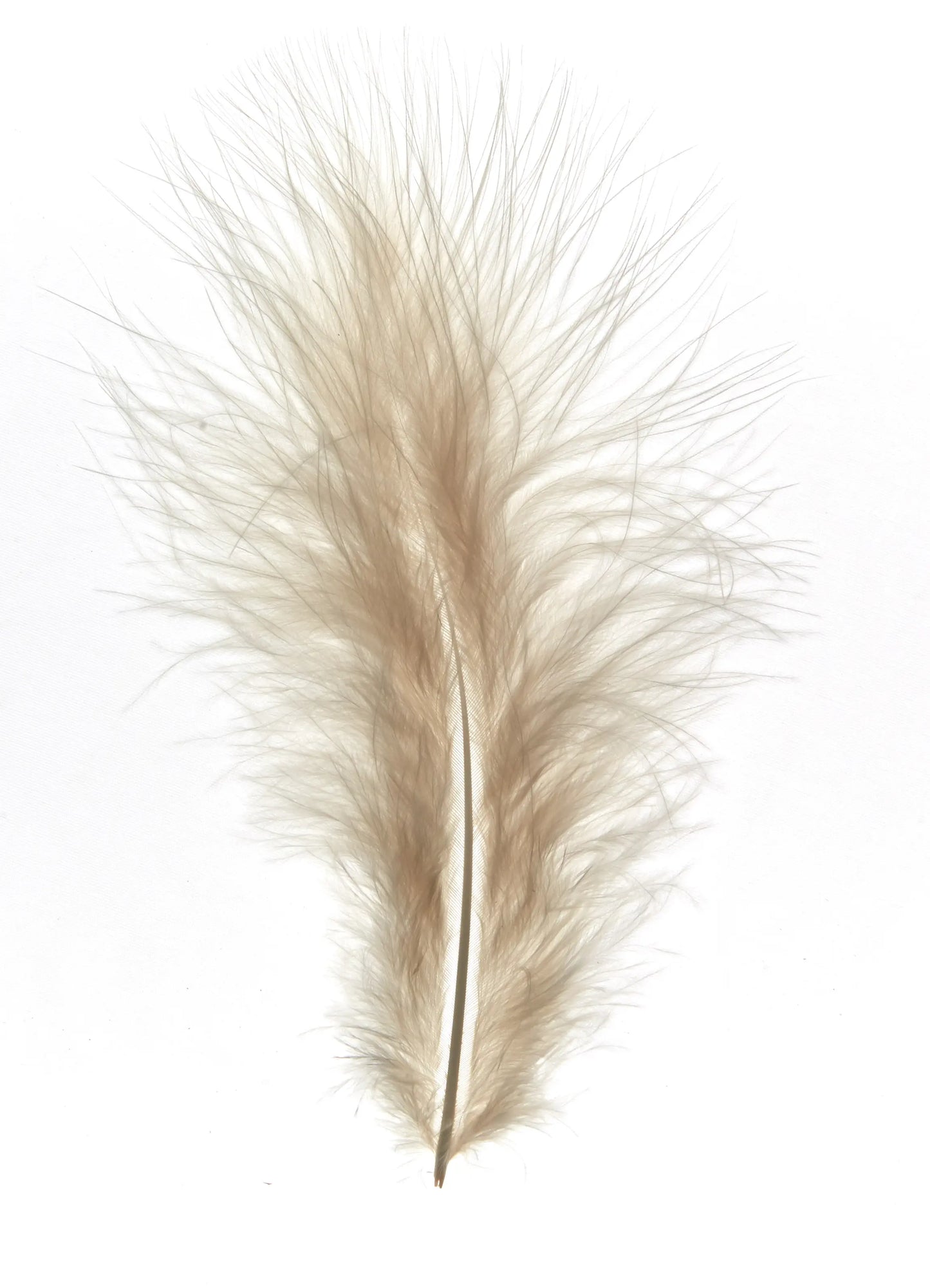 Marabou 12-15cm écru