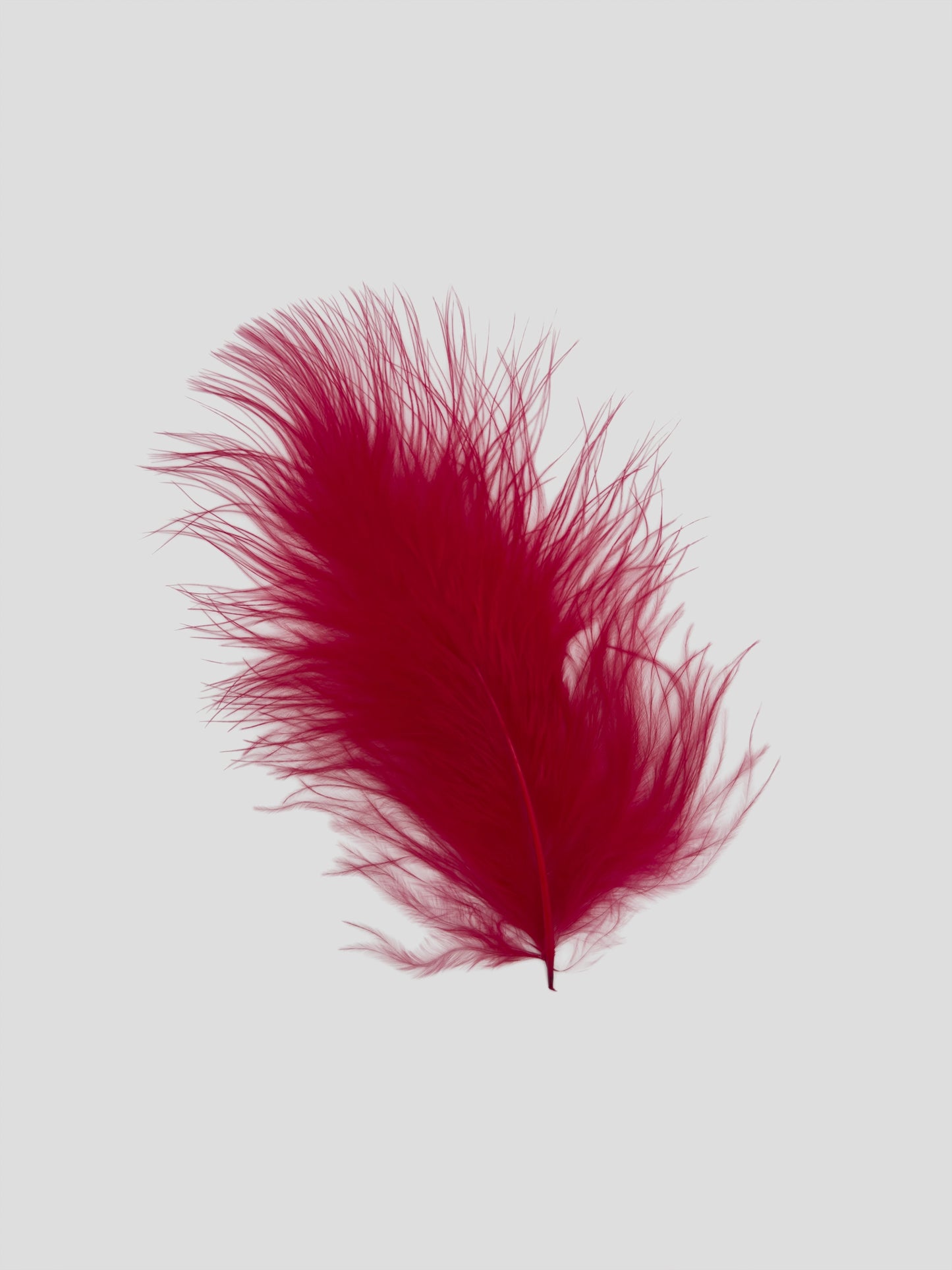 Marabou 12-15cm tomaatrood