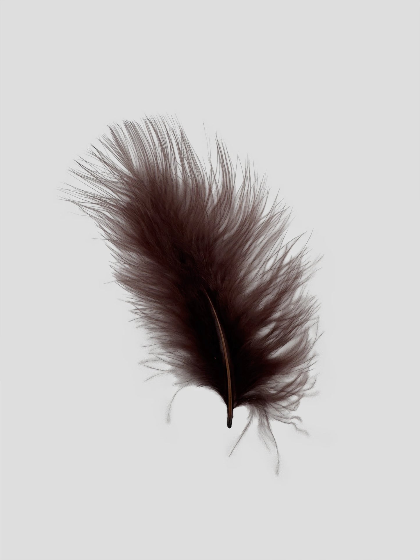 Marabou 12-15cm donkerbruin