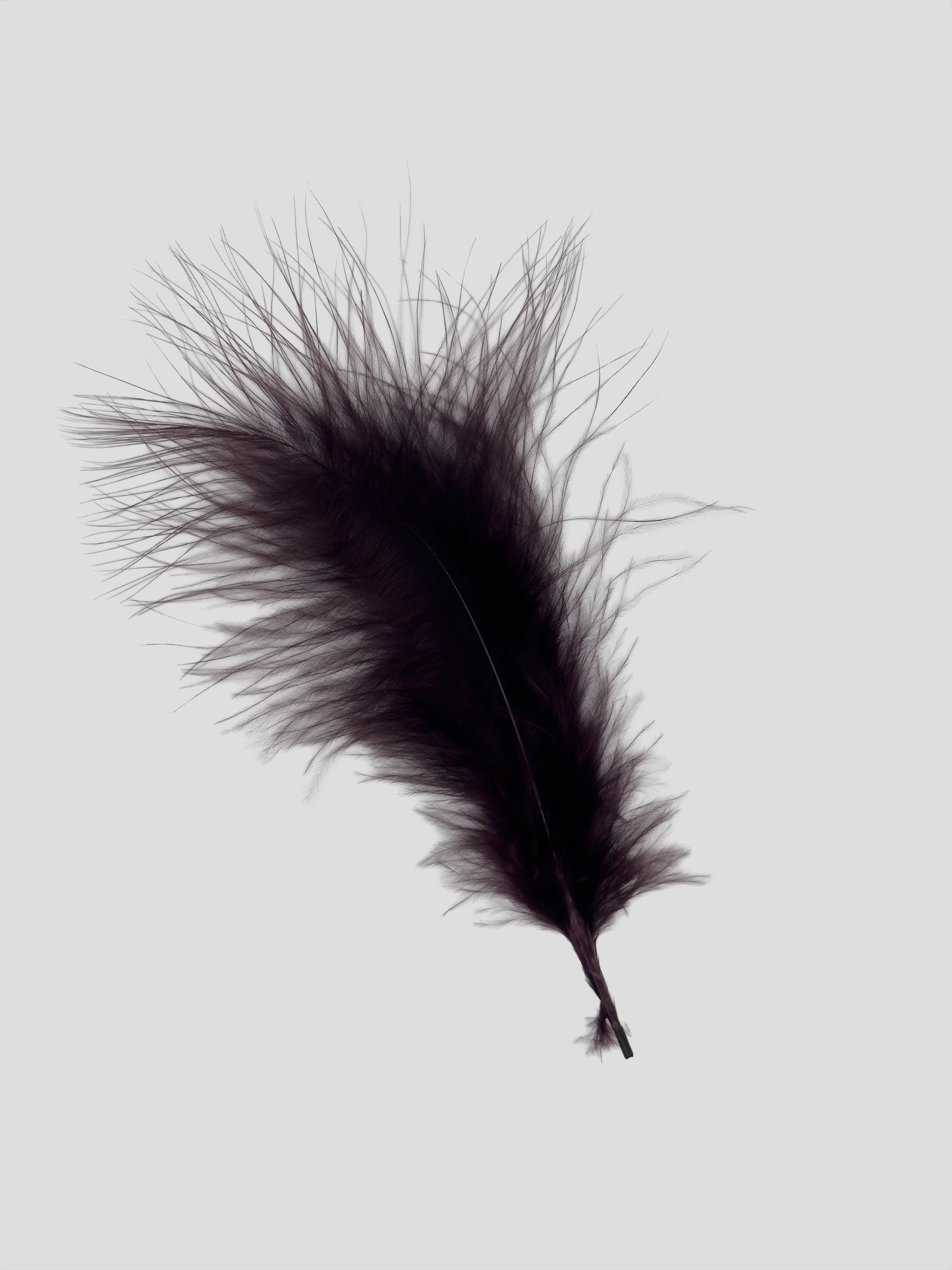Marabou 12-15cm aubergine