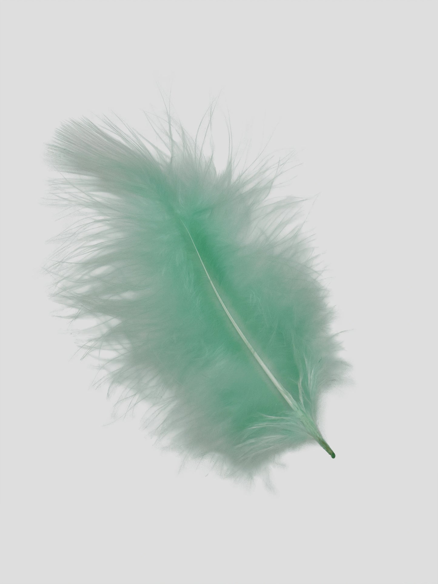 Marabou 12-15cm pistache