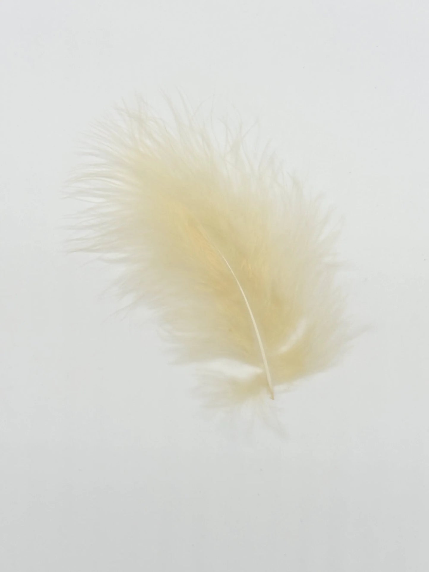Marabou 12-15cm champagne