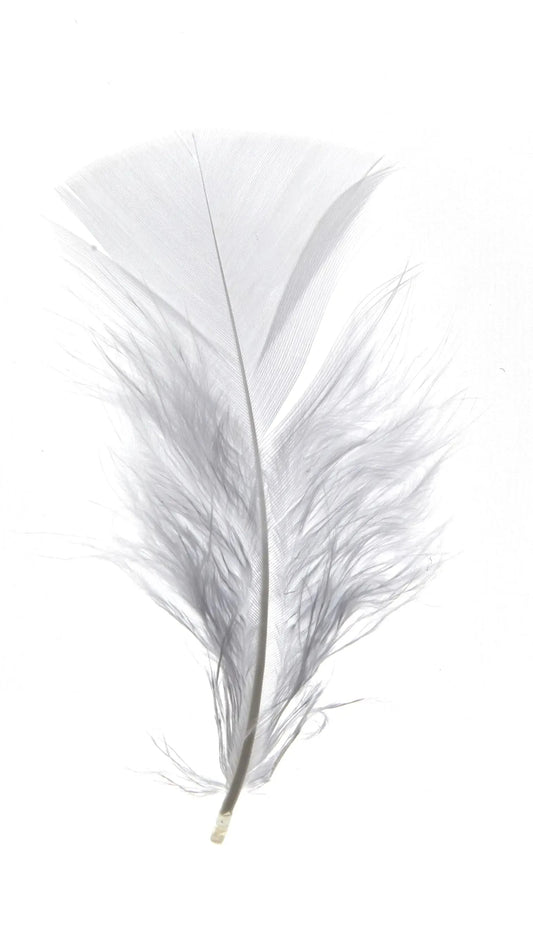Pavo 10cm wit