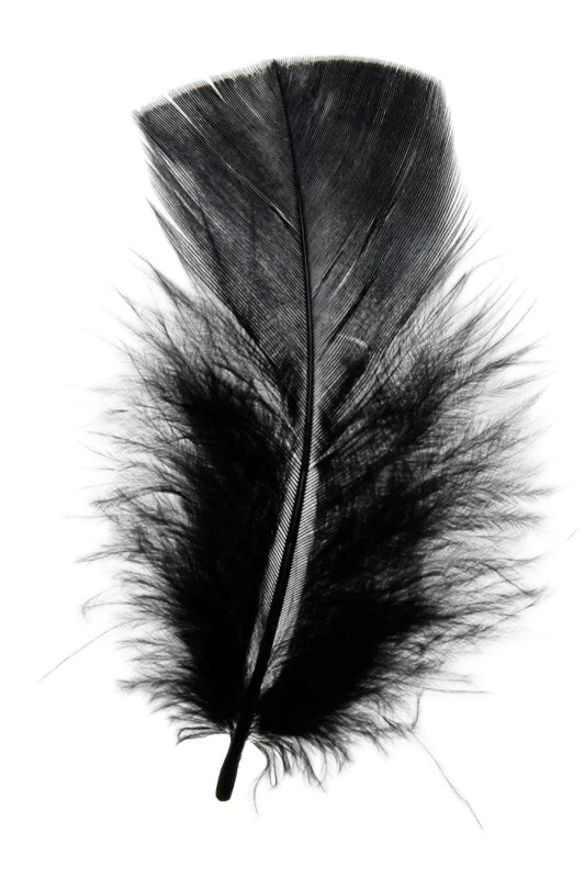 Pavo 10cm negro