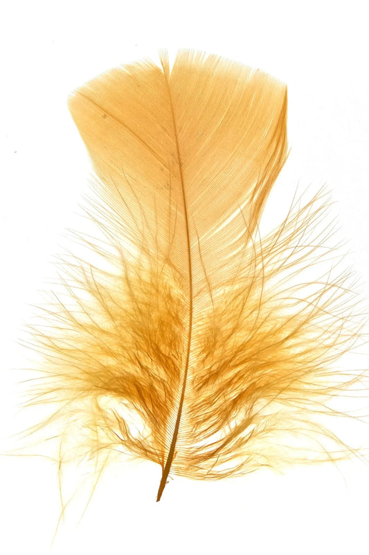 Pavo 10cm yema de huevo
