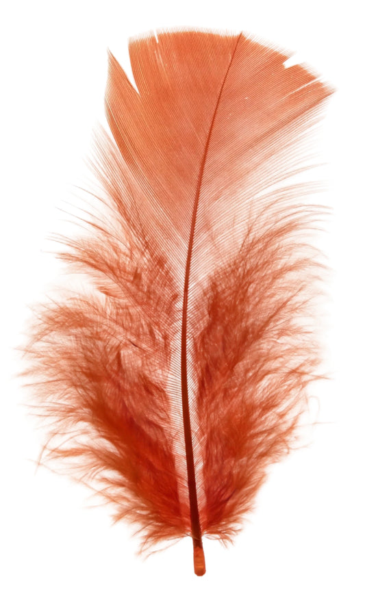 Pavo 10cm naranja