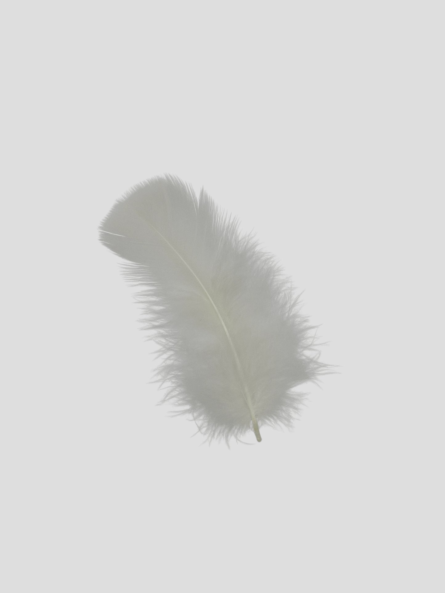 Turkey 10cm parelmoer