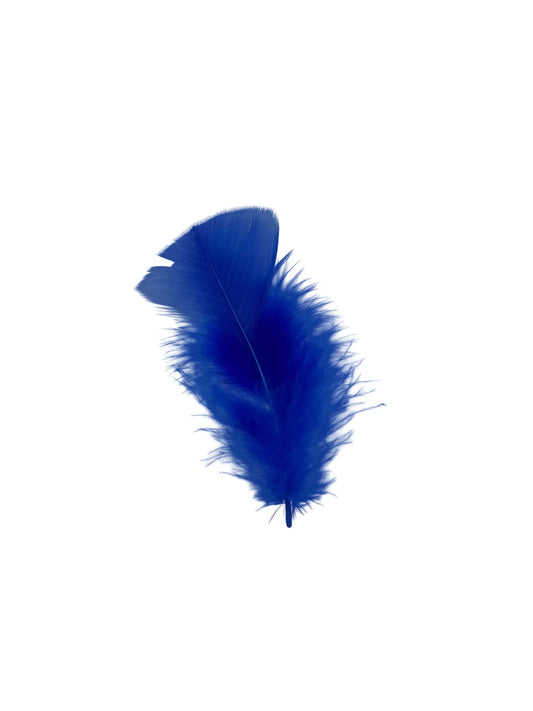 Pavo 10cm azul real