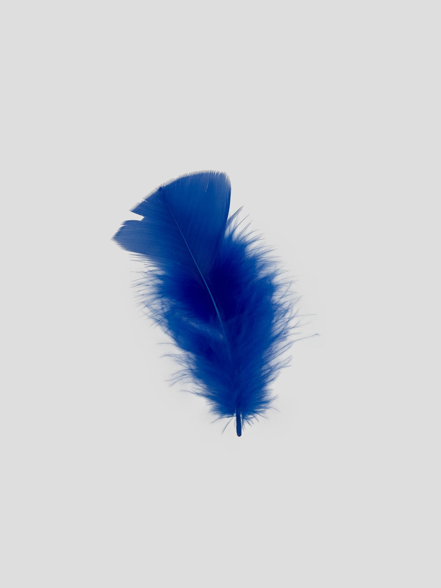 Turkey 10cm koningsblauw