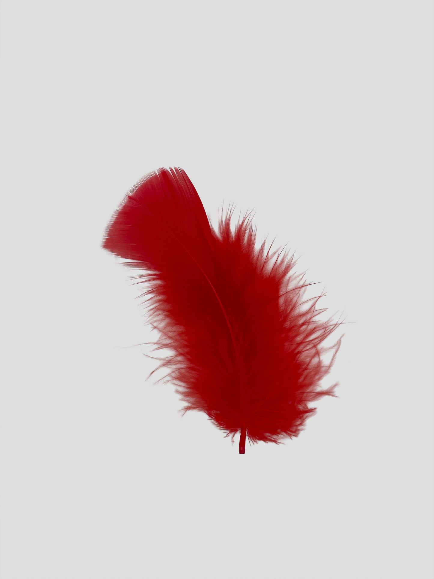 Turkey 10cm rood