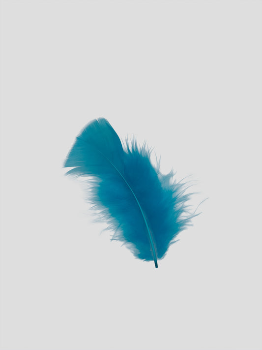 Turkey 10cm turkoois