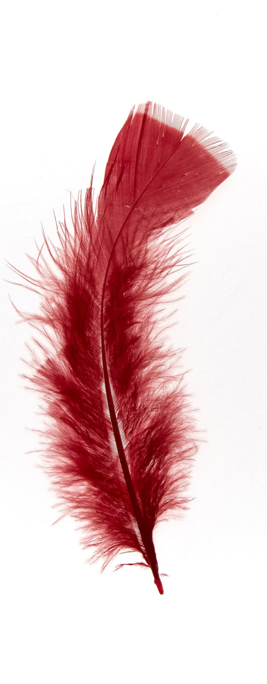 Plumas planas 15cm rojo tomate