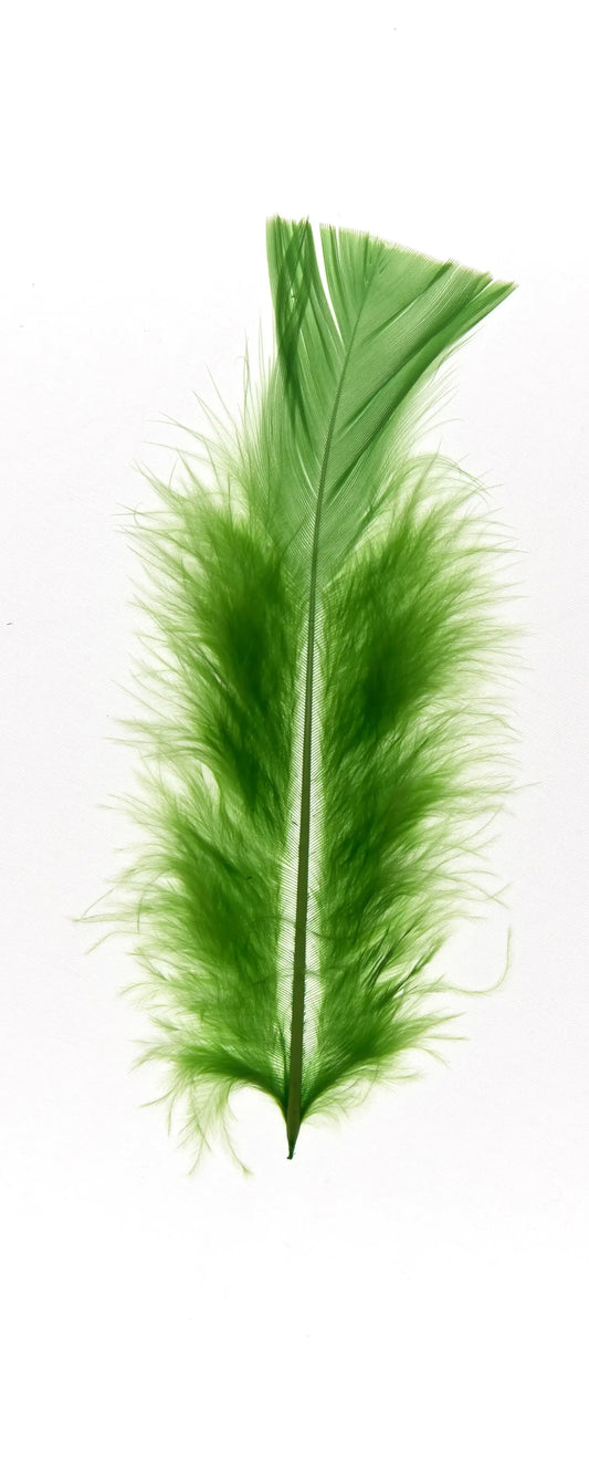 Plumas planas 15cm verde claro