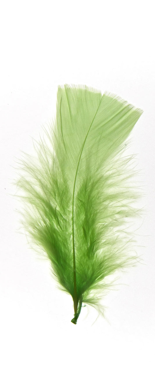 Plumas planas 15cm verde manzana