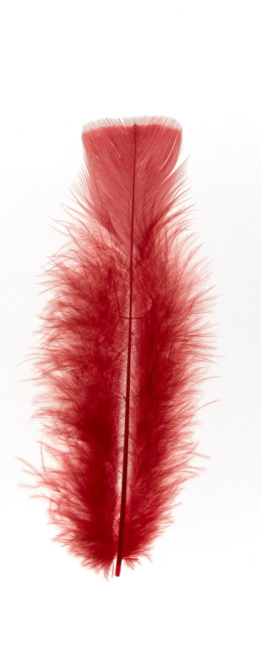 Plumas planas 15cm rojo