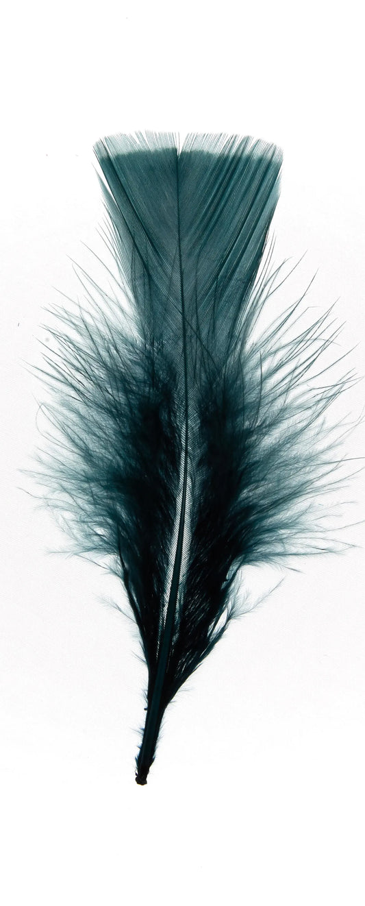 Plumas planas 15cm azul petróleo