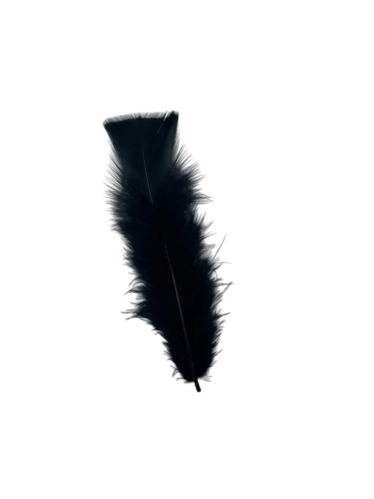 Plumas planas 15cm negro