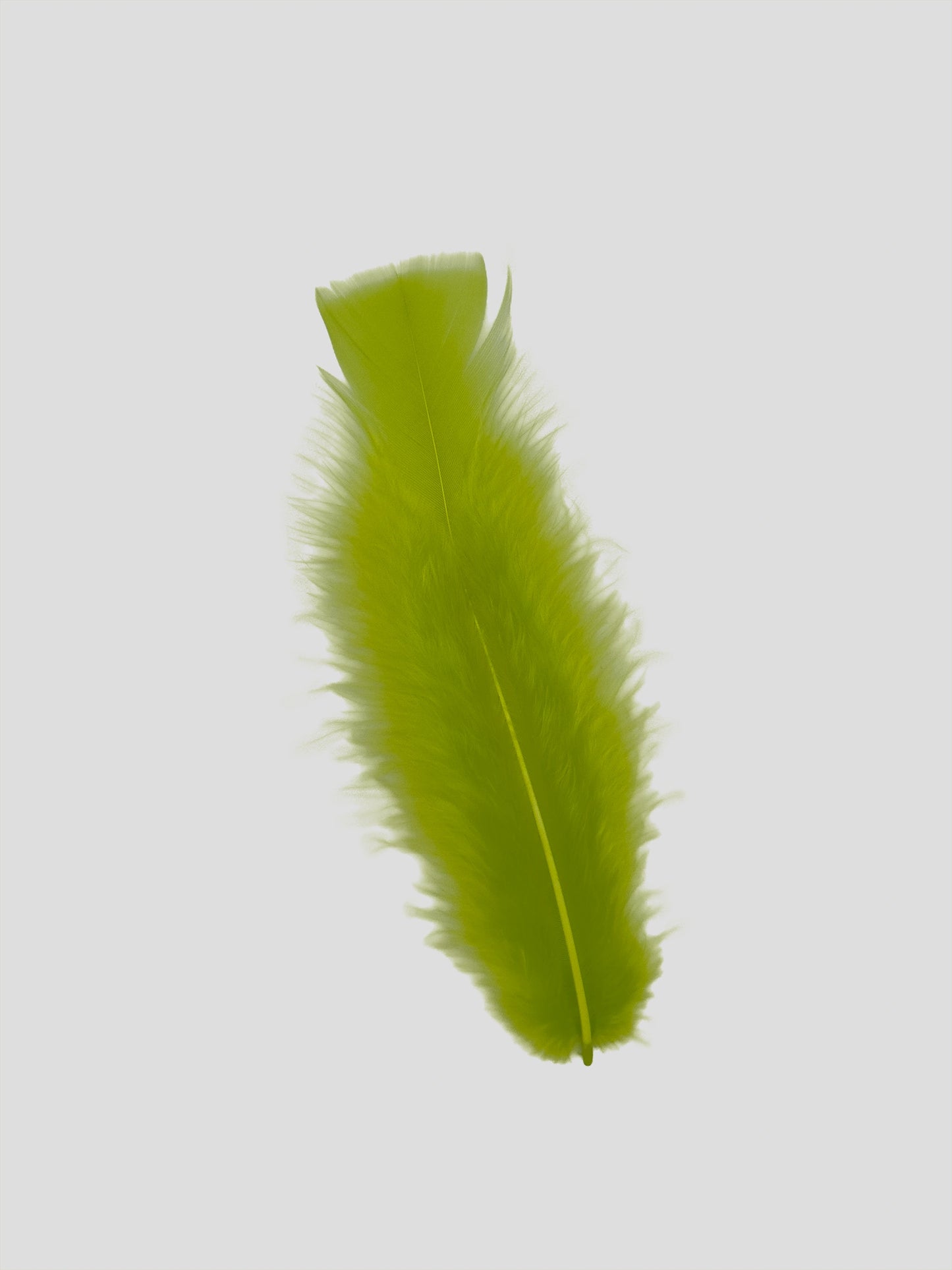 Flat 15cm lichtgroen