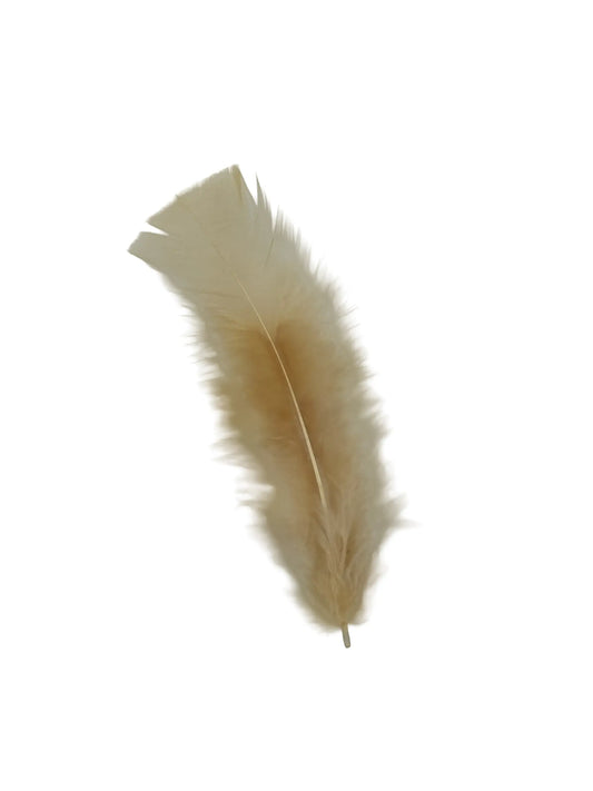 Plumas planas 15cm crudo