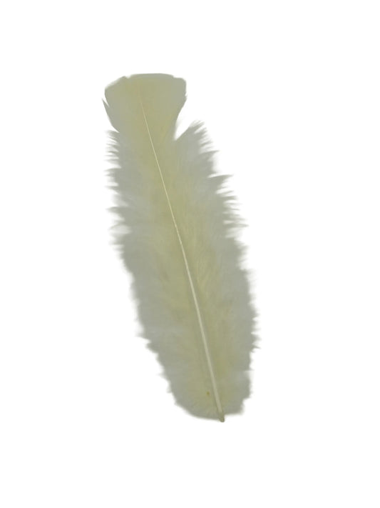 Plumas planas 15cm amarillo claro