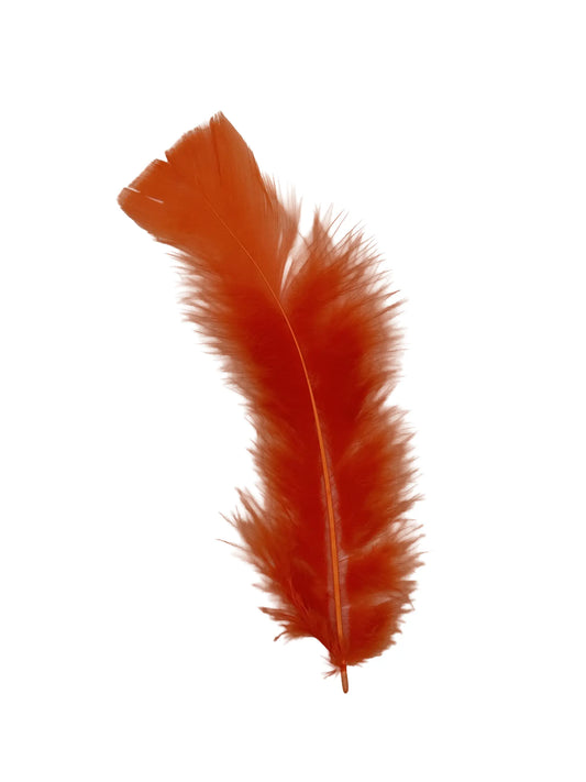 Plumas planas 15cm naranja