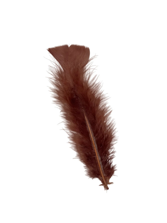 Plumas planas 15cm chocolate 