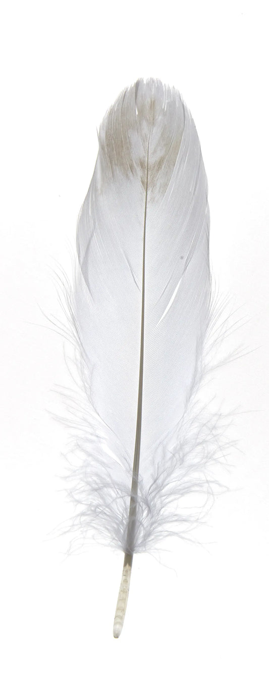 Ganso nagoire 16-20cm blancas