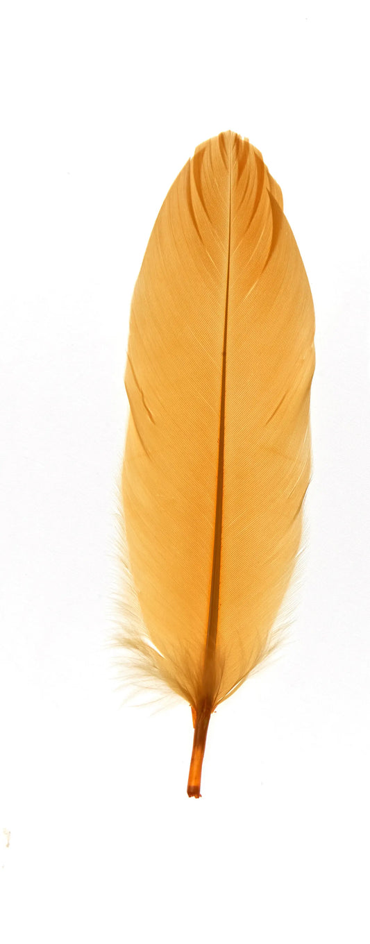Ganso nagoire 12-15cm eigeel