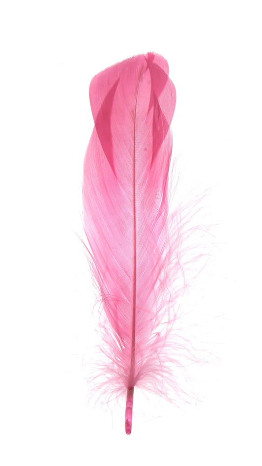 Ganso nagoire 16-20cm rosa claro
