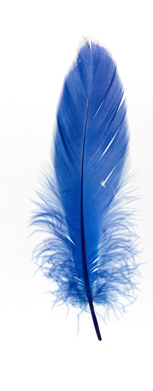 Ganso nagoire 16-20cm azul real