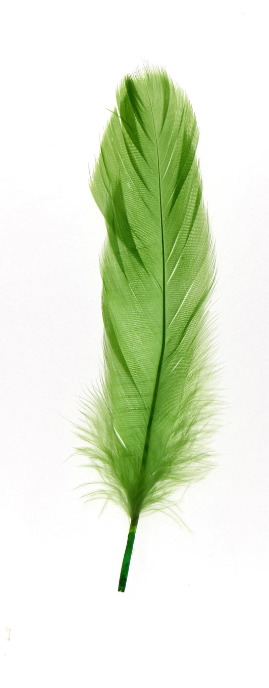 Ganso nagoire 16-20cm verde claro