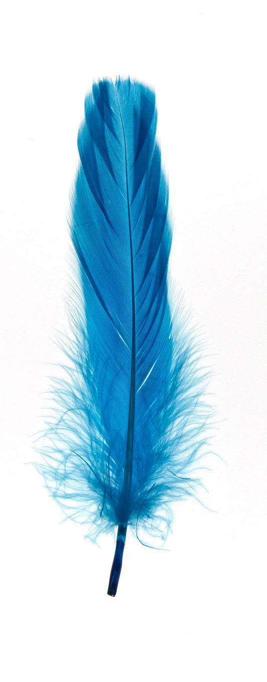 Ganso nagoire 16-20cm turquesa