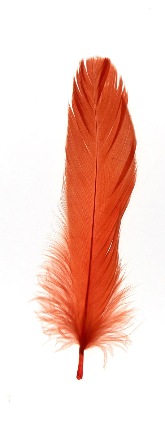Ganso nagoire 16-20 cm naranja