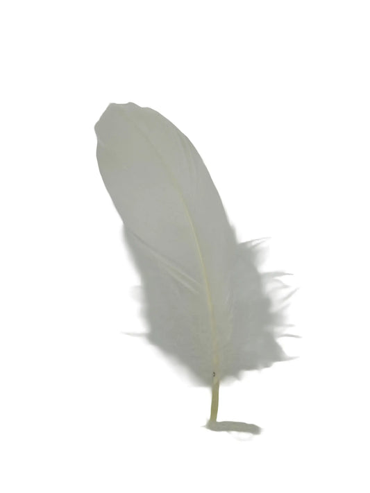Ganso nagoire 12-15cm nácar