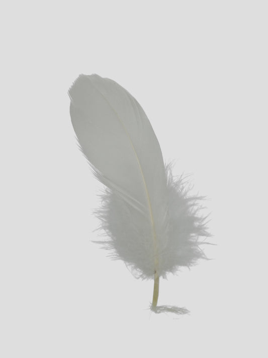 Nageoires 12-15cm parelmoer