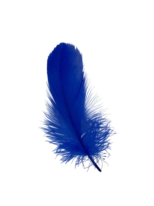 Ganso nagoire 12-15cm azul real