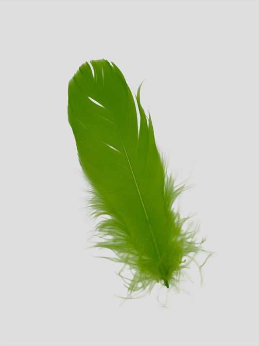 Nageoires 12-15cm lichtgroen