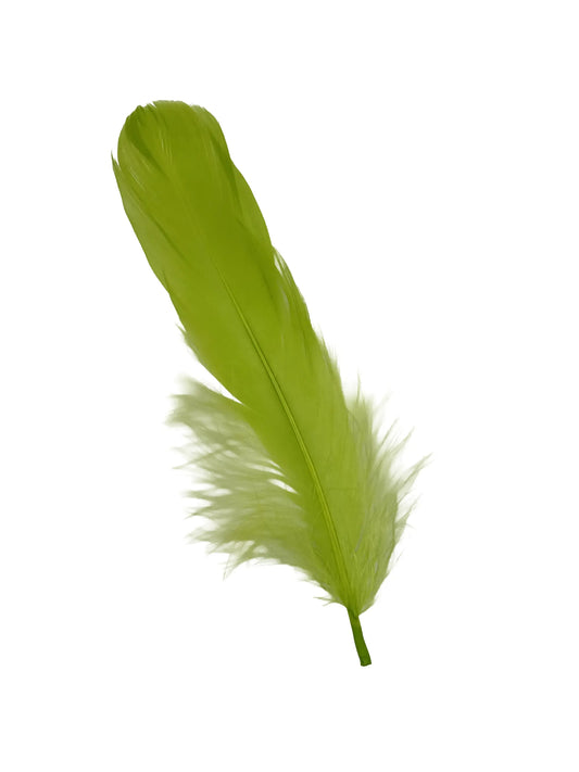 Ganso nagoire 12-15cm verde manzana