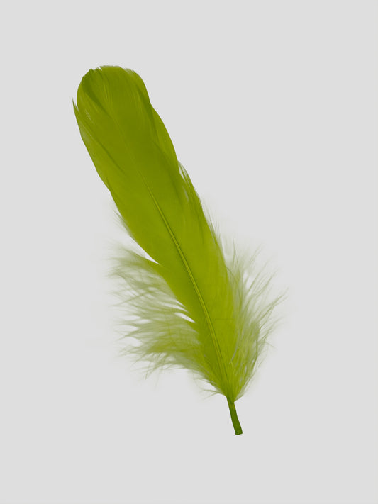 Nageoires 12-15cm appelgroen